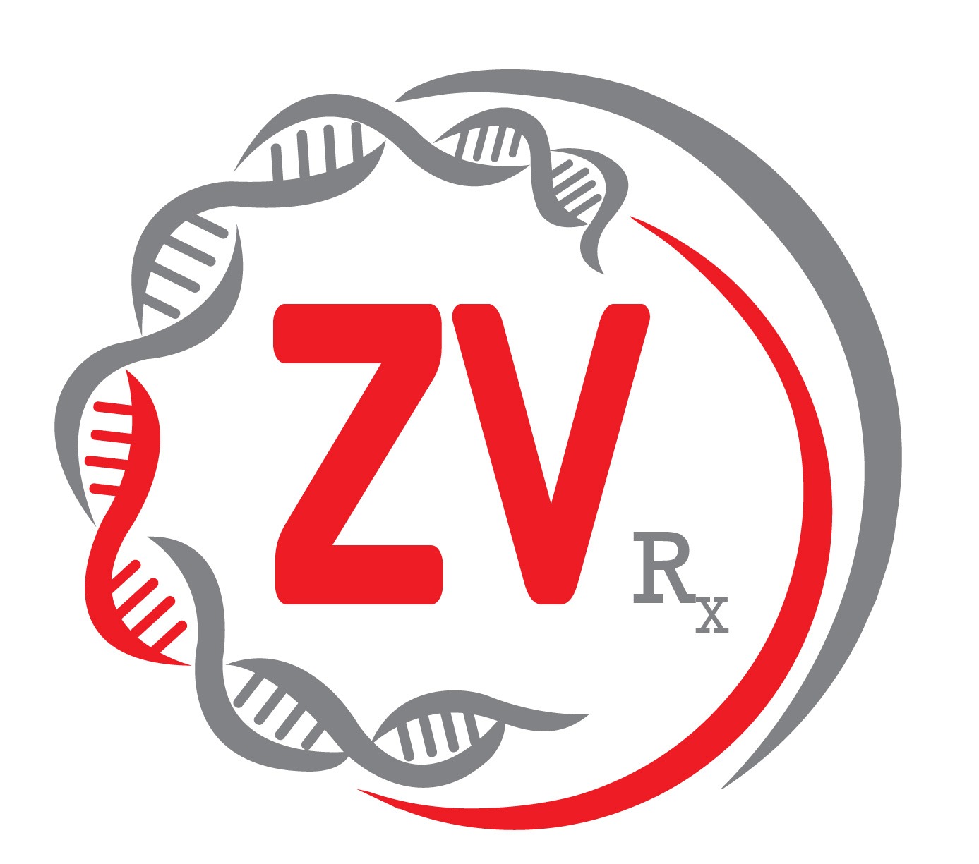 ZV Logo